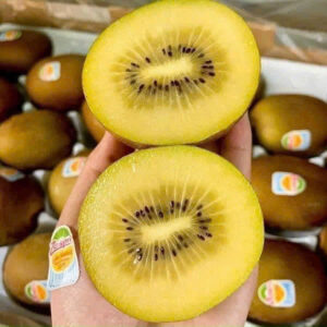 Kiwi Newzealand - XM006