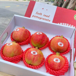 Lựu Ruby - XM016